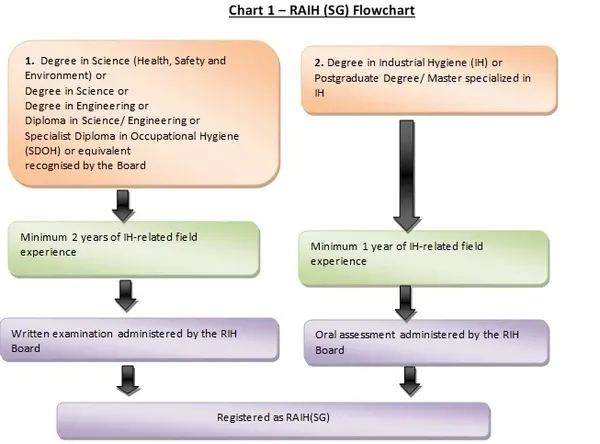 RAIH (SG) application pathway showing eligibility, document review, assessment, and certification steps.